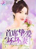 萌宝无敌:首席挚爱坏坏妻