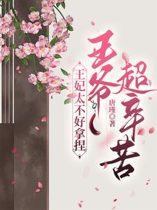 王妃太不好拿捏,王爷超辛苦