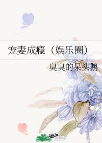 宠妻成瘾(娱乐圈)